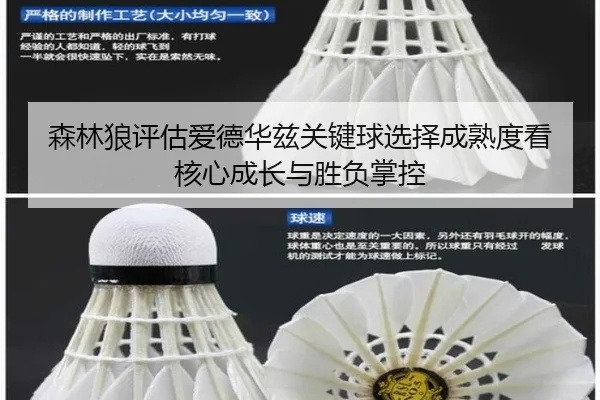 森林狼评估爱德华兹关键球选择成熟度看核心成长与胜负掌控